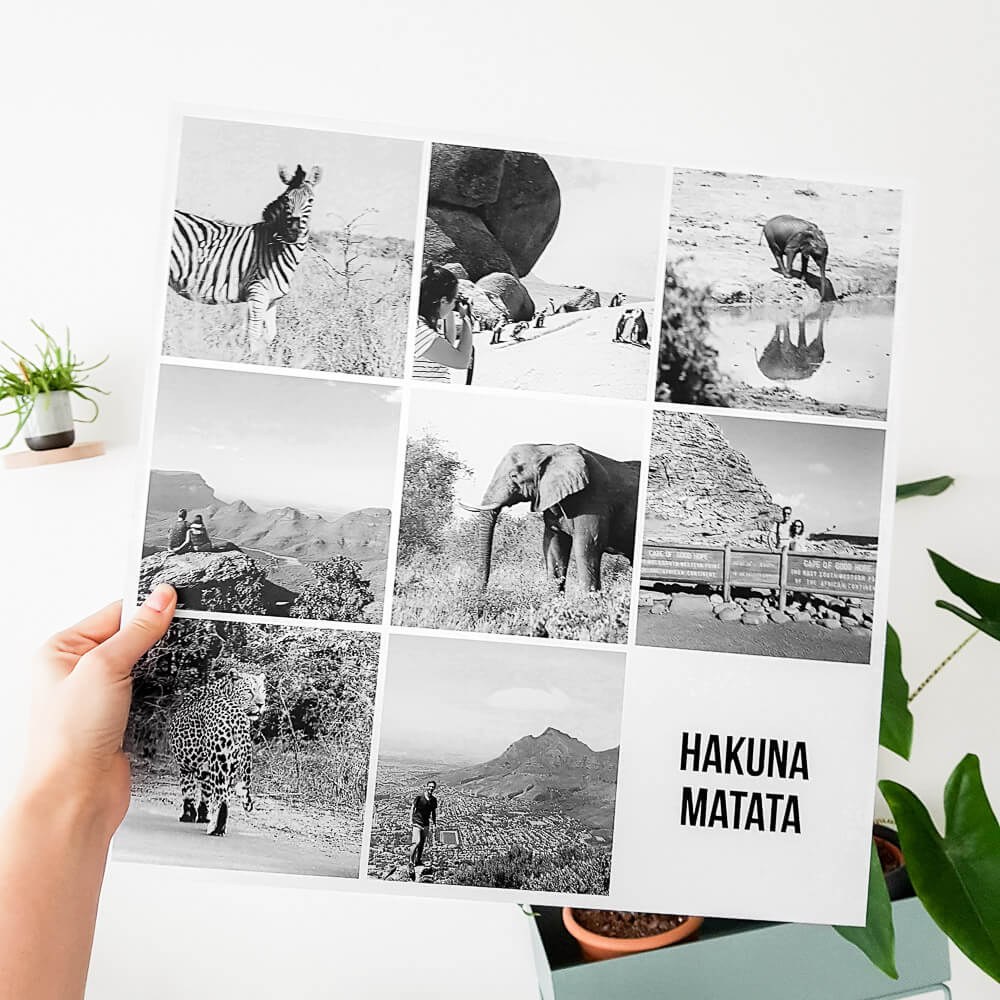 Instawall Print fotocollage op aluminium 60x60 cm met ophangsysteem, zwart-wit dieren en landschappen