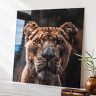 Print op glas Print op glas Instawall Prints   